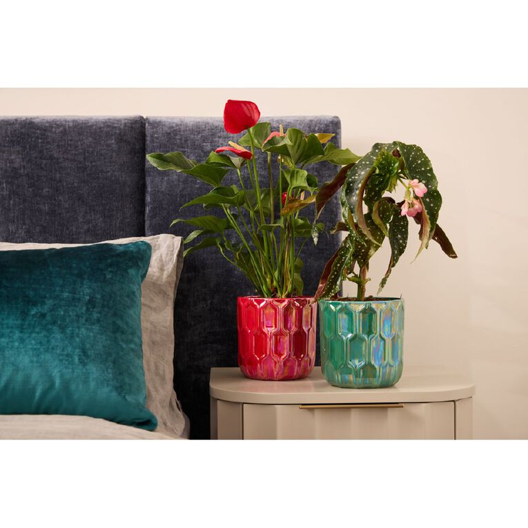 Northcote Pottery Leon Lustre Egg Pot Red 15cm, , hi-res