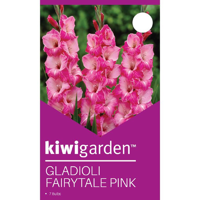 Kiwi Garden Gladioli Fairytale Pink 7 Pack, , hi-res