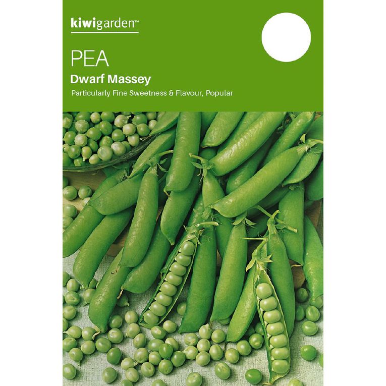 Kiwi Garden Pea Dwarf Massey Seeds, , hi-res