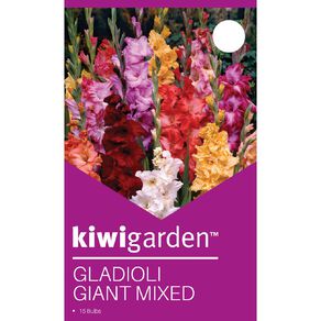 Kiwi Garden Gladioli Giant Mix 15 Pack