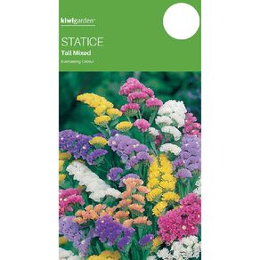 Kiwi Garden Statice Tall Mixed Seeds