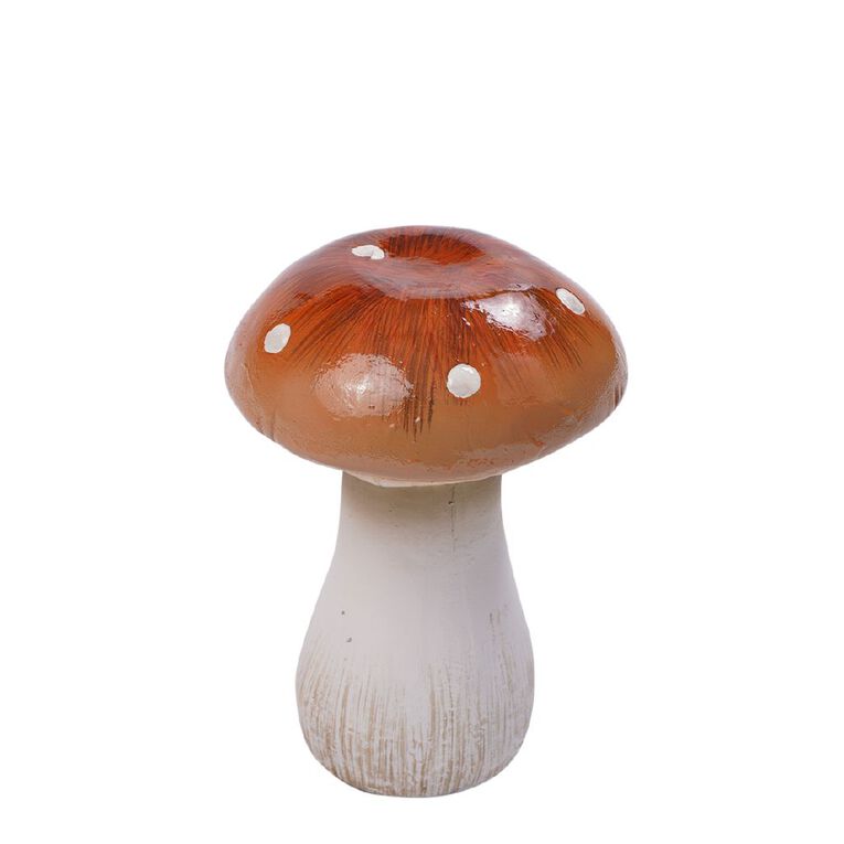 Kiwi Garden Mushrooms, , hi-res