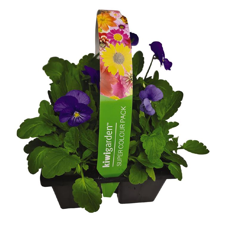 Super Colour 4 Pack, , hi-res