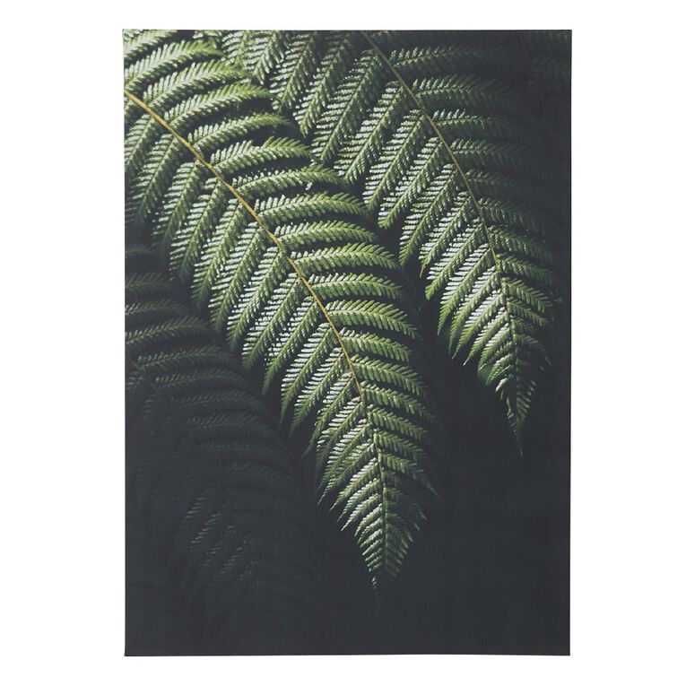 Living & Co Fern Printed Canvas 50cm x 70cm, , hi-res