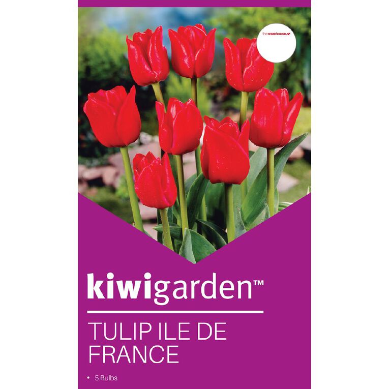 Kiwi Garden Tulip Ile De France 5 bulbs, , hi-res