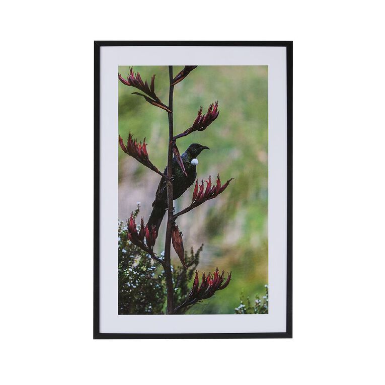 Living & Co Tui Framed Print 60cm x 90cm 60cm x 90cm, , hi-res