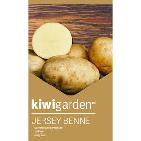 Kiwi Garden Seed Potato Jersey Benne 10 Pack