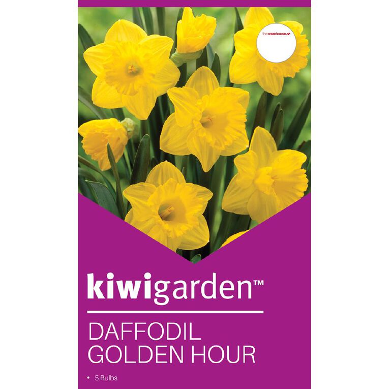 Kiwi Garden Daffodils Golden Hour 5PK, , hi-res