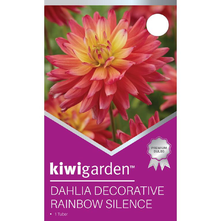 Kiwi Garden Dahlia Decorative Type 1 Pack, , hi-res