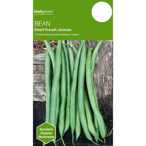 Kiwi Garden Bean Jackson Dwarf French Seeds