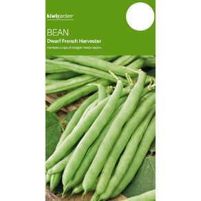 Kiwi Garden Bean Harvester Dwarf French Seeds