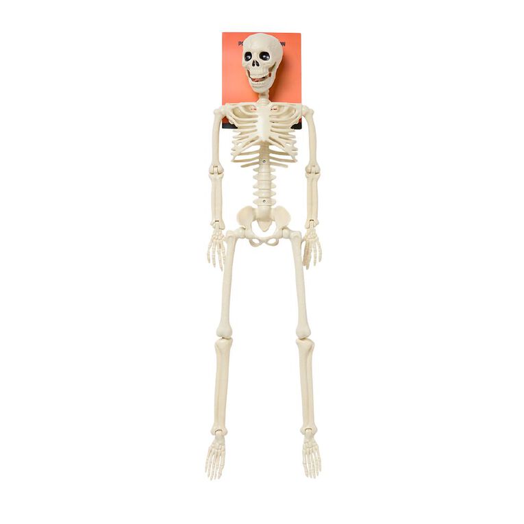 Scarehouse Skeleton Halloween Decoration 90cm, , hi-res