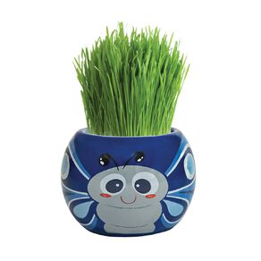 Boutique Garden Grass Head Kit Friendly Butterfly