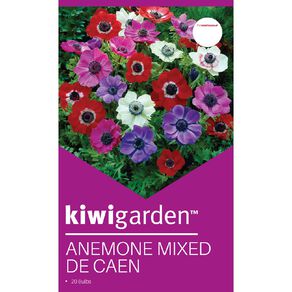 Kiwi Garden Anemone Mixed De Caen 20 bulbs