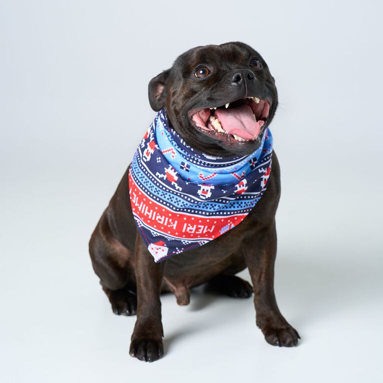 Wonderland Pet Christmas Bandana Assorted, , hi-res