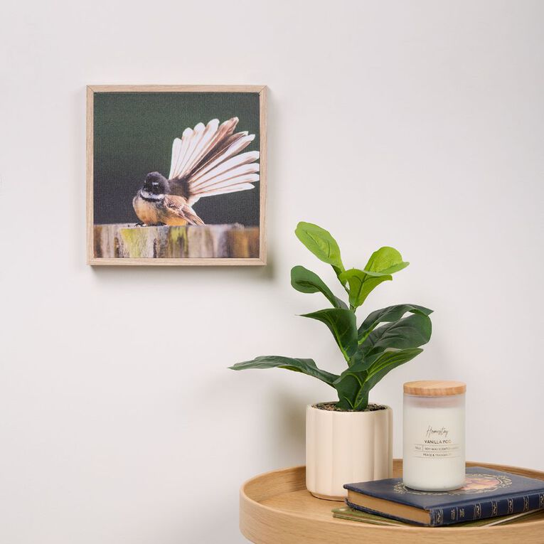Living & Co Fantail Framed Canvas 25cm x 25cm, , hi-res
