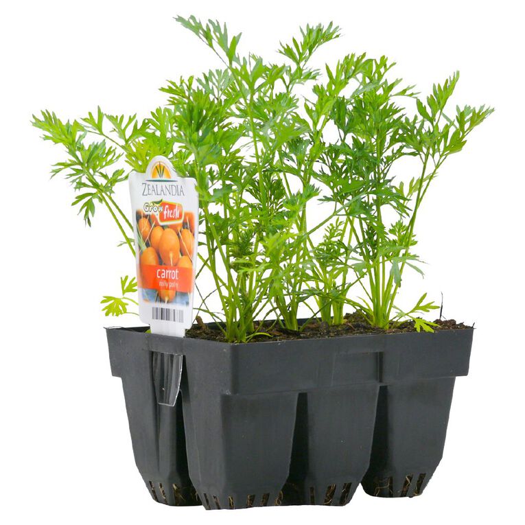Growfresh Carrot Rolly Polly, , hi-res