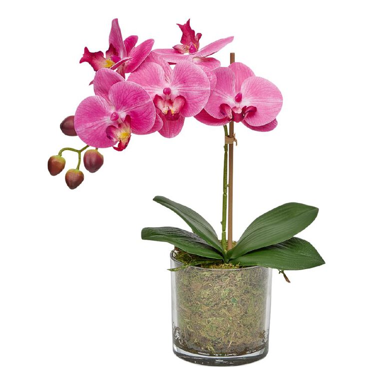 Botanica Artificial 30cm Orchid in Pot, , hi-res