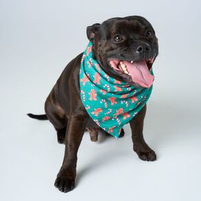 Wonderland Pet Christmas Bandana Assorted