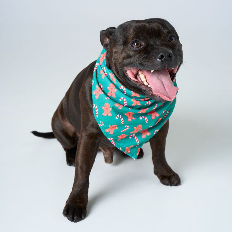 Wonderland Pet Christmas Bandana Assorted, , hi-res