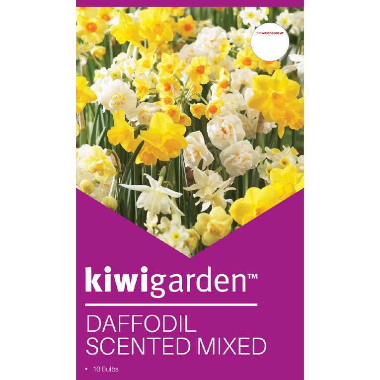 Kiwi Garden Daffodil Scented Mixed 10 bulbs, , hi-res