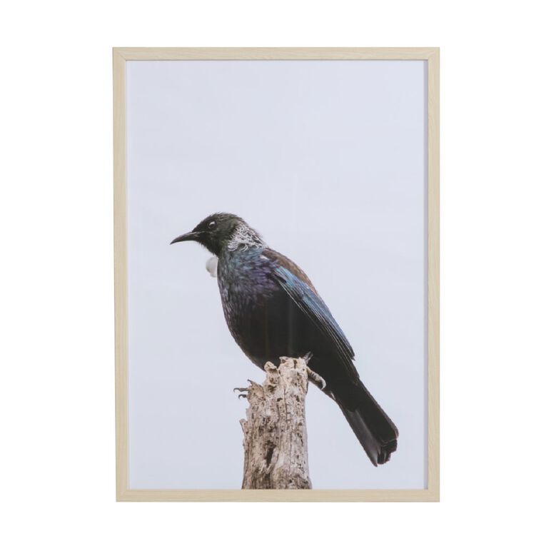 Living & Co Tui Framed Print 50cm x 70cm, , hi-res