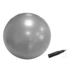 Active Intent Fitness Gym Ball 75cm