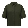 Green Dark