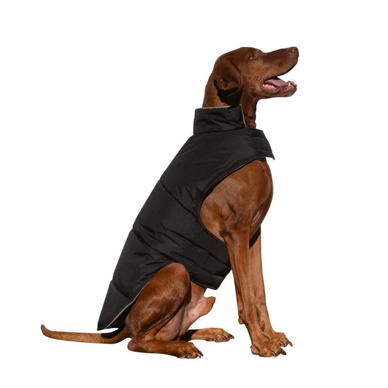 Petzone All Weather Jacket XL