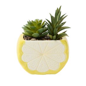 Living & Co Novelty Lemon Artificial Succulent