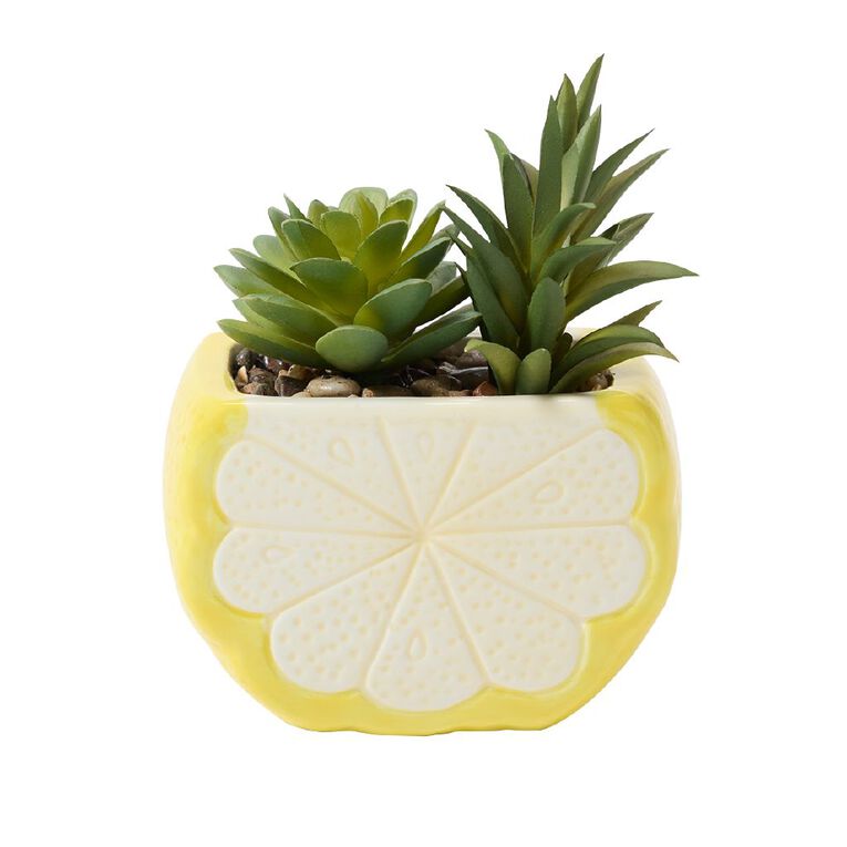 Living & Co Novelty Lemon Artificial Succulent, , hi-res