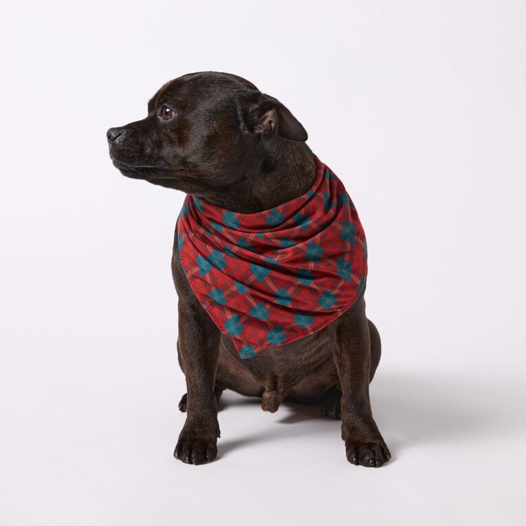 Wonderland Pet Christmas Bandana Assorted, , hi-res