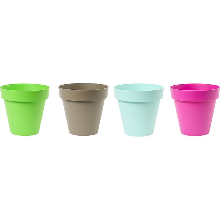 Kiwi Garden Mixed Bright Indoor Pots, , hi-res