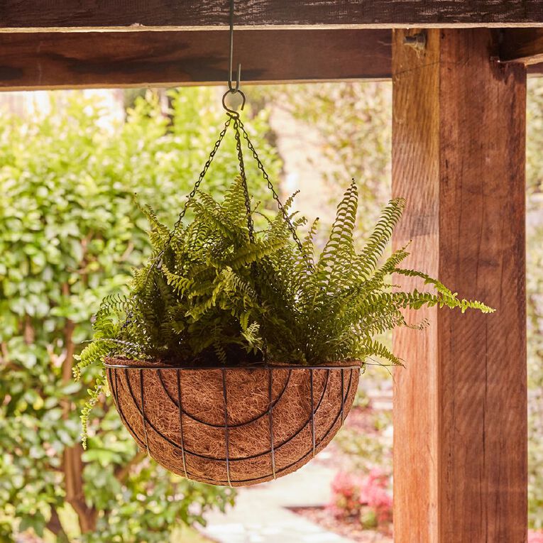 Northcote Pottery 35cm Lattice Hanging Basket, , hi-res