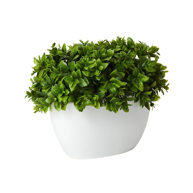 Living & Co Artificial Buxus Potted Plant White Leaf Green Dark Green Dark The Warehouse