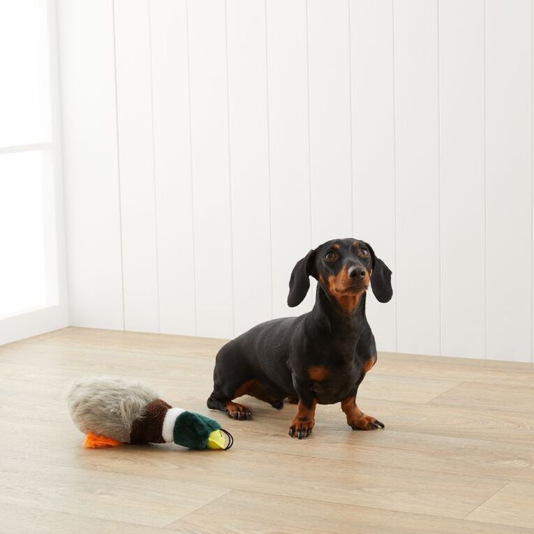 Petzone Dog Toy Plush Duck Large MultiColoured The Warehouse