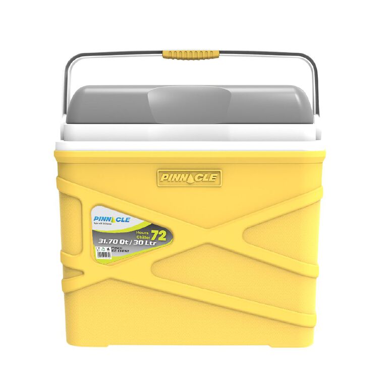 Pinnacle Pasco 30L Chilly Bin, , hi-res