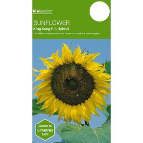Kiwi Garden Sunflower King Kong Seeds