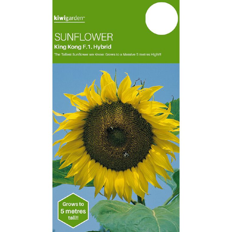 Kiwi Garden Sunflower King Kong Seeds, , hi-res