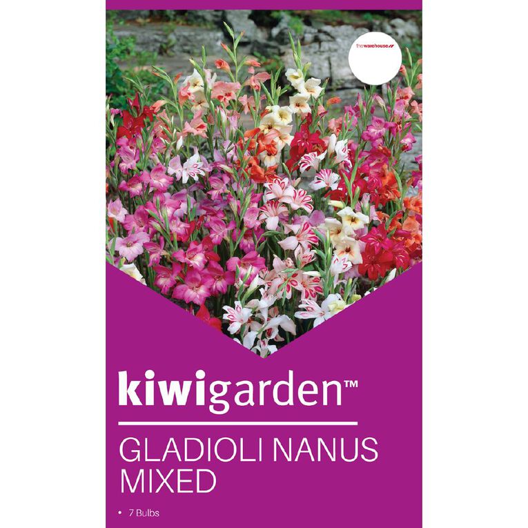 Kiwi Garden Gladioli Nanus Mixed 7 bulbs, , hi-res