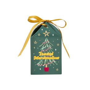 Wonderland Home Christmas Mini Gift Candle Toasted Marshmallow 50g