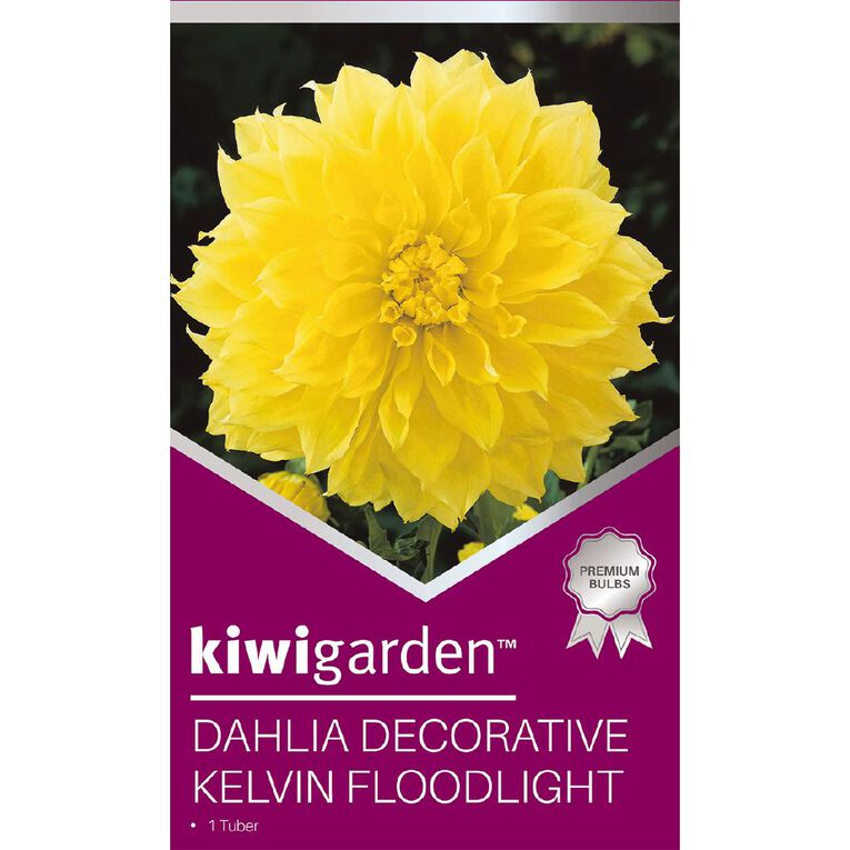 Kiwi Garden Gold Dahlia Bulb Dinner Plate assorted 1 Pack, , hi-res