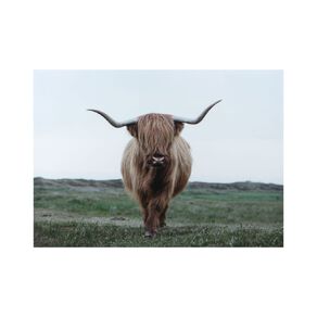 Happy Frames Wall Art Canvas Rustic Highland Cow 97x70cm