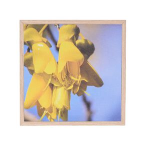 Living & Co Kowhai Framed Canvas 25cm x 25cm