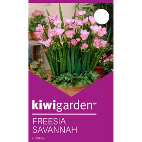 Kiwi Garden Freesia Savannah 10 Pack