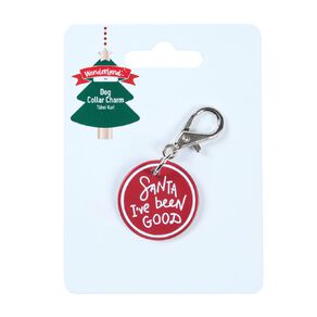 Wonderland Pet Dog Collar Charm Assorted