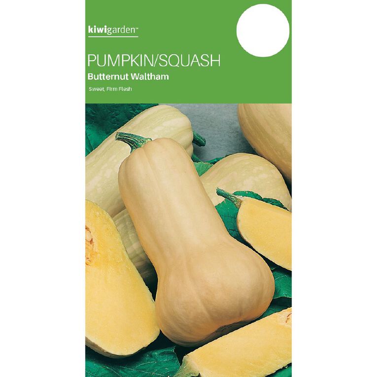 Kiwi Garden Pumpkin Butternut Waltham Seeds, , hi-res