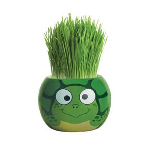Boutique Garden Grass Head Kit Ocean Life Turtle