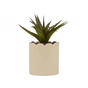 Living & Co Artificial Succulent Scallop Pot Green