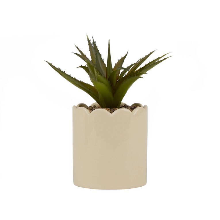Living & Co Artificial Succulent Scallop Pot Green, , hi-res